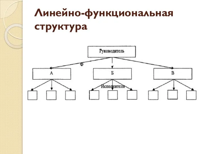 Линейно-функциональная структура