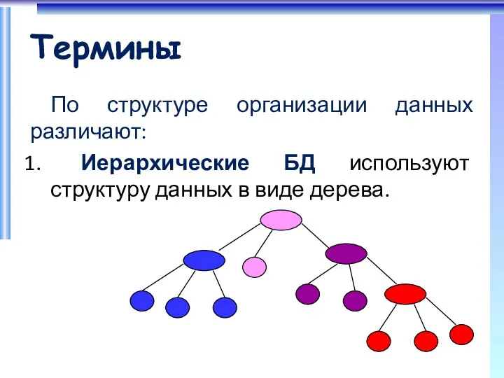 Термины По структуре организации данных различают: Иерархические БД используют структуру данных в виде дерева.