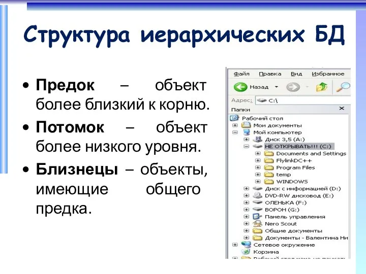 Структура иерархических БД Предок – объект более близкий к корню. Потомок