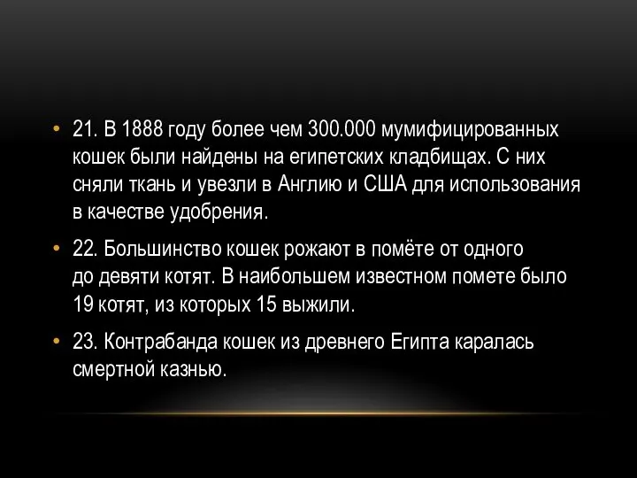 21. В 1888 году более чем 300.000 мумифицированных кошек были найдены