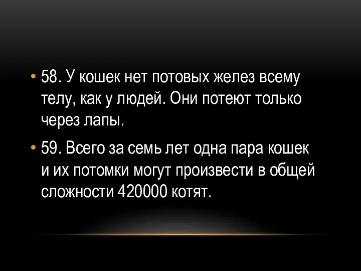 58. У кошек нет потовых желез всему телу, как у людей.