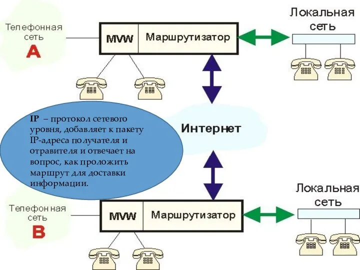 IP – протокол сетевого уровня, добавляет к пакету IP-адреса получателя и