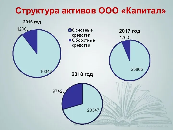 Структура активов ООО «Капитал» 2016 год