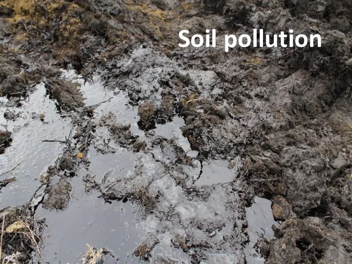 Soil pollution