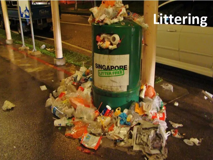 Littering