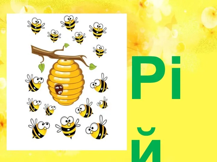 Рій