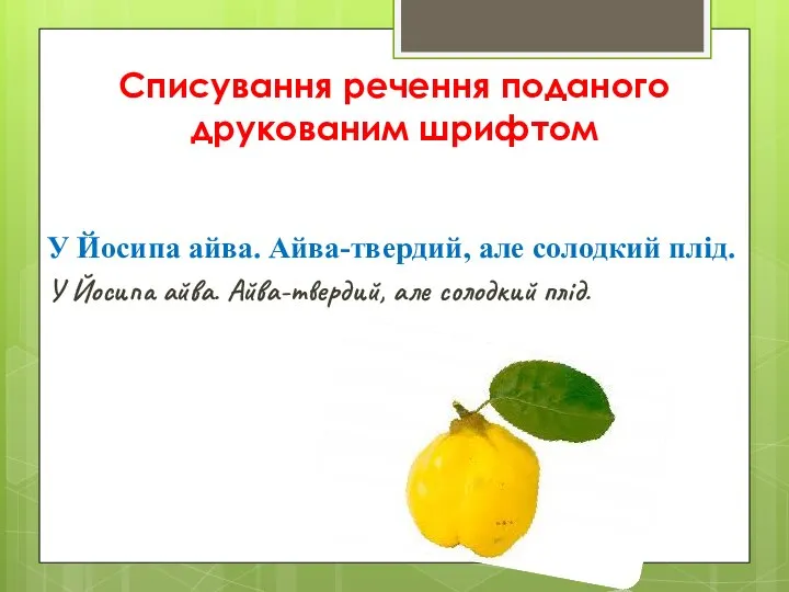 Списування речення поданого друкованим шрифтом У Йосипа айва. Айва-твердий, але солодкий