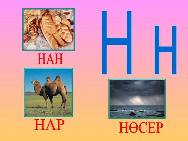 Н н НАН НАР НӨСЕР