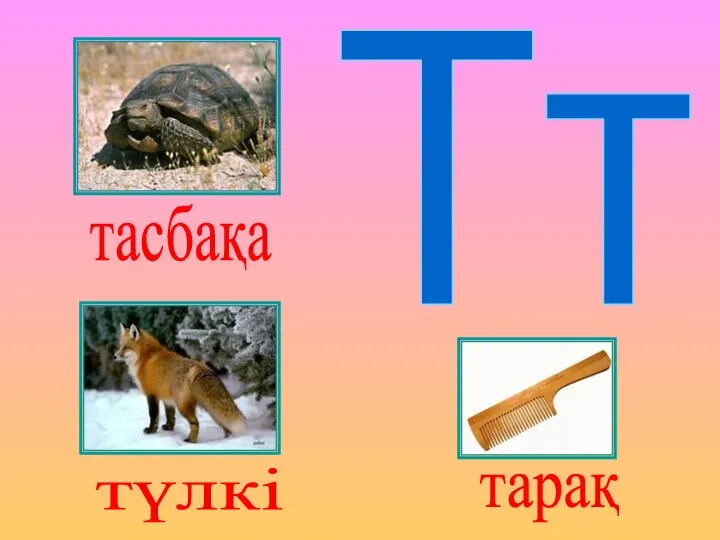 Тт тасбақа түлкі тарақ