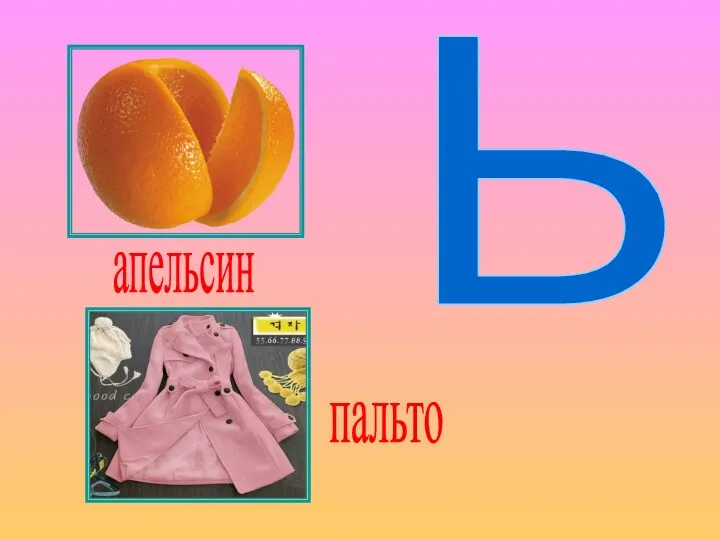 Ь апельсин пальто