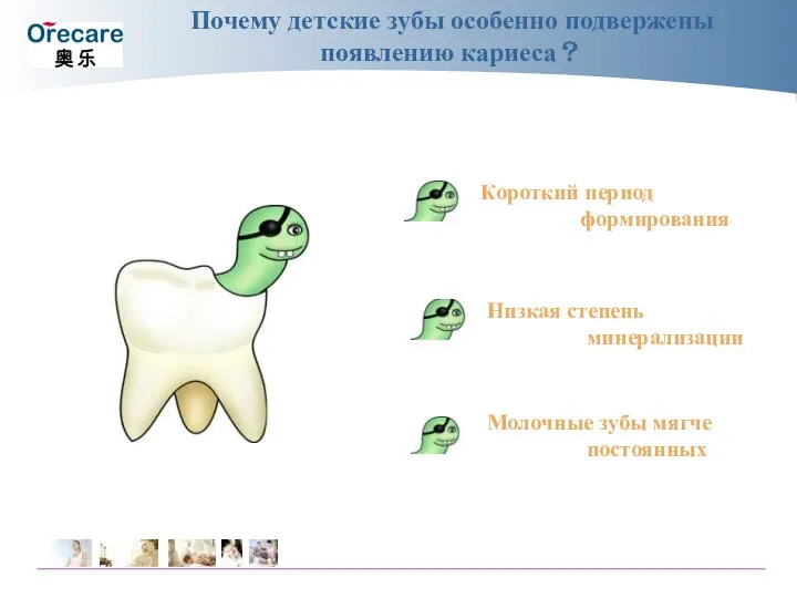 Почему детские зубы особенно подвержены появлению кариеса？ Короткий период формирования Низкая