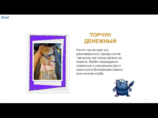 ТОРЧУН ДЕНЕЖНЫЙ Ничто так не прет эту разновидность породы котов-торчунов, как