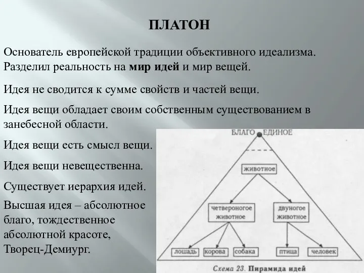 ПЛАТОН Основатель европейской традиции объективного идеализма. Разделил реальность на мир идей