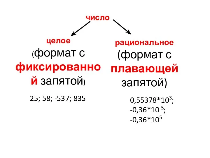 число целое (формат с фиксированной запятой) рациональное (формат с плавающей запятой)