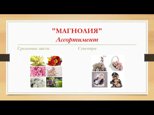 "МАГНОЛИЯ" Ассортимент Срезанные цветы Сувениры