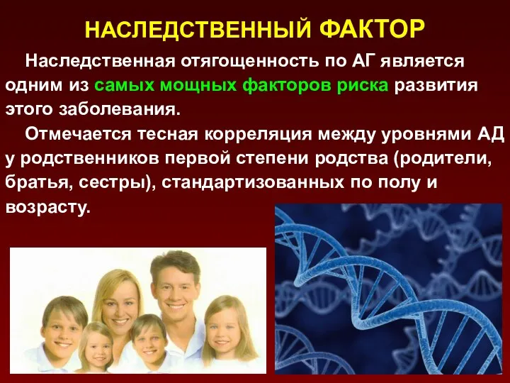 НАСЛЕДСТВЕННЫЙ ФАКТОР Наследственная отягощенность по АГ является одним из самых мощных