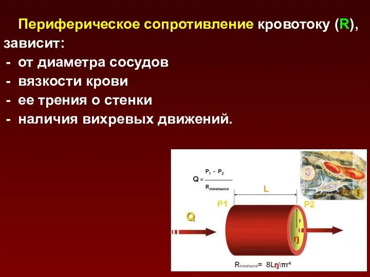 Периферическое сопротивление кровотоку (R), зависит: от диаметра сосудов вязкости крови ее