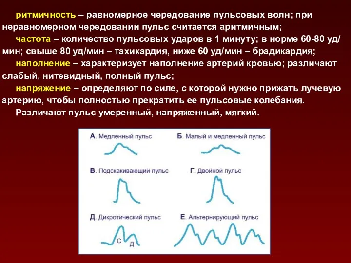 ритмичность – равномерное чередование пульсовых волн; при неравномерном чередовании пульс считается