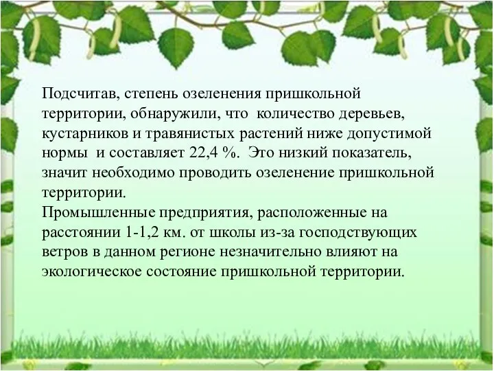 Подсчитав, степень озеленения пришкольной территории, обнаружили, что количество деревьев, кустарников и