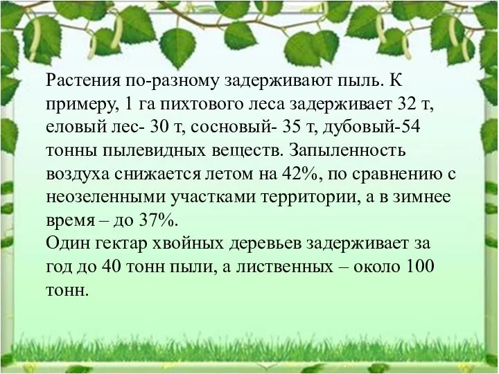 Растения по-разному задерживают пыль. К примеру, 1 га пихтового леса задерживает