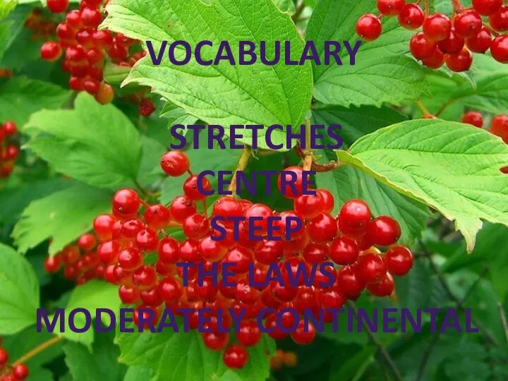 VOCABULARY STRETCHES CENTRE STEEP THE LAWS MODERATELY CONTINENTAL