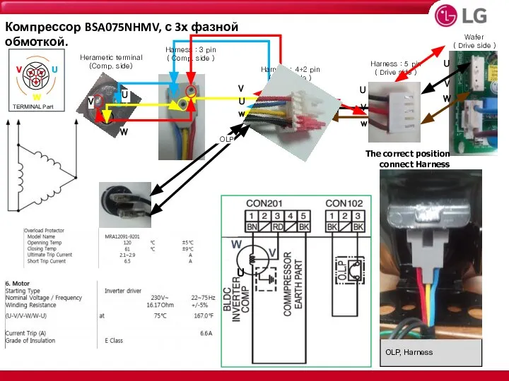 OLP, Harness The correct position connect Harness OLP Компрессор BSA075NHMV, с 3х фазной обмоткой.