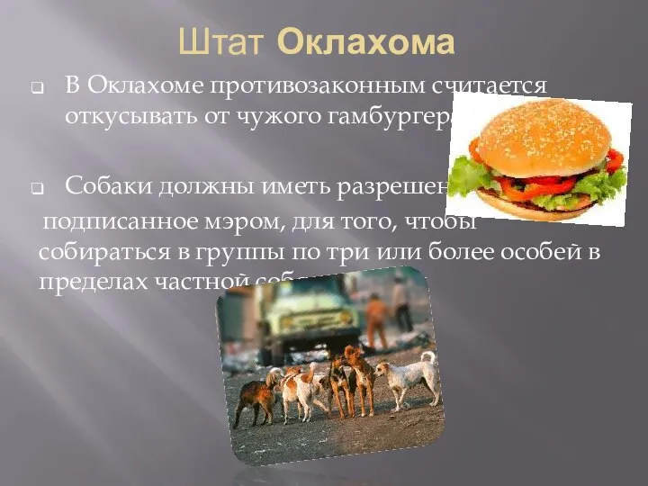 Штат Оклахома В Оклахоме противозаконным считается откусывать от чужого гамбургера Собаки