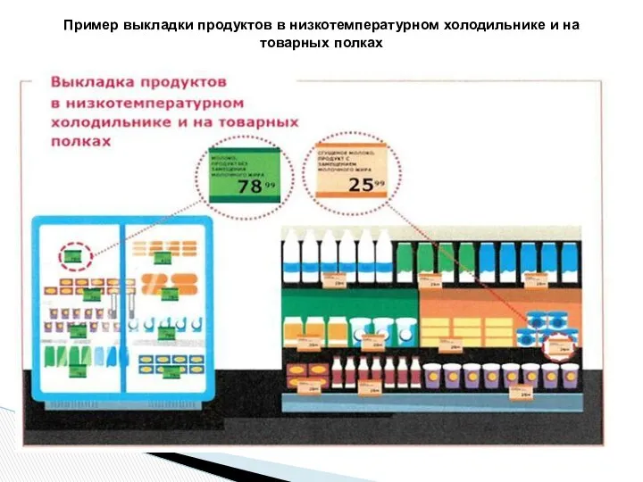 Пример выкладки продуктов в низкотемпературном холодильнике и на товарных полках