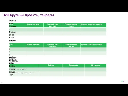 B2G Крупные проекты, тендеры Основной бизнес. Реализованные проекты с ежемесячной выручкой