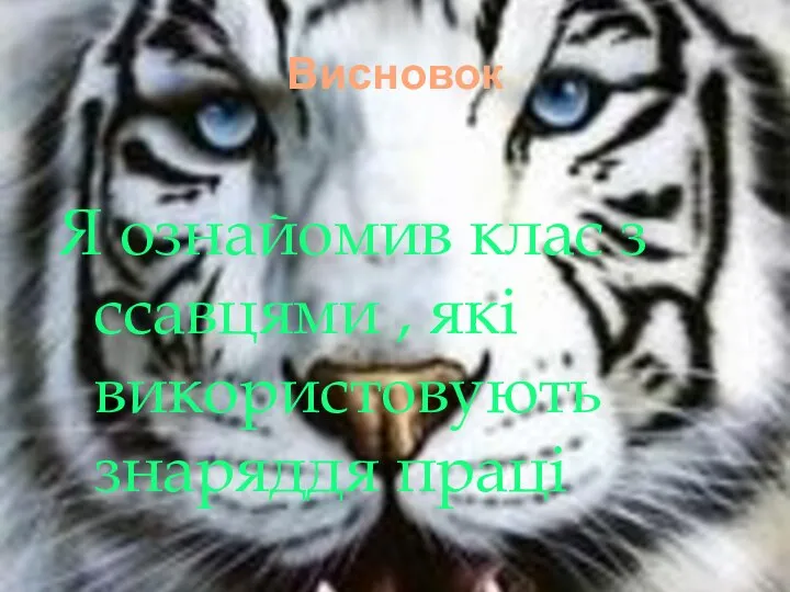 Висновок Я ознайомив клас з ссавцями , які використовують знаряддя праці