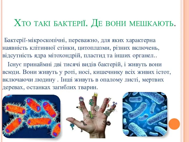 Хто такі бактерії. Де вони мешкають. Бактерії-мікроскопічні, переважно, для яких характерна