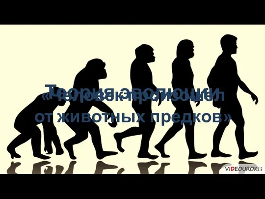 Теория эволюции «Человек произошёл от животных предков»