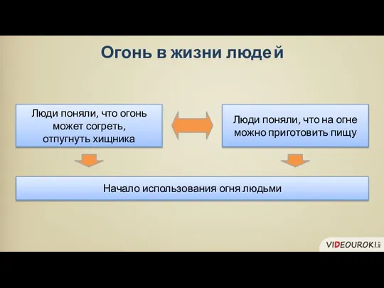 Люди поняли, что огонь может согреть, отпугнуть хищника Люди поняли, что