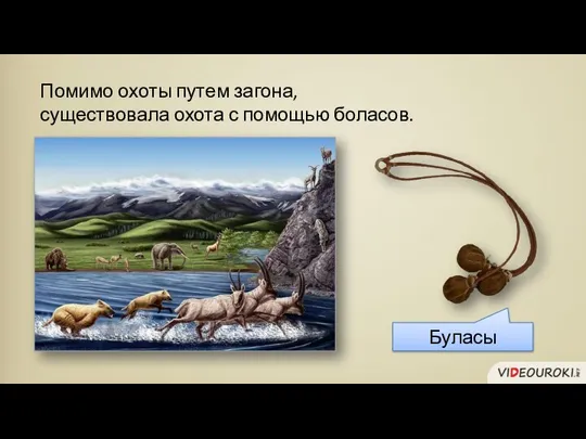 Помимо охоты путем загона, существовала охота с помощью боласов. Буласы