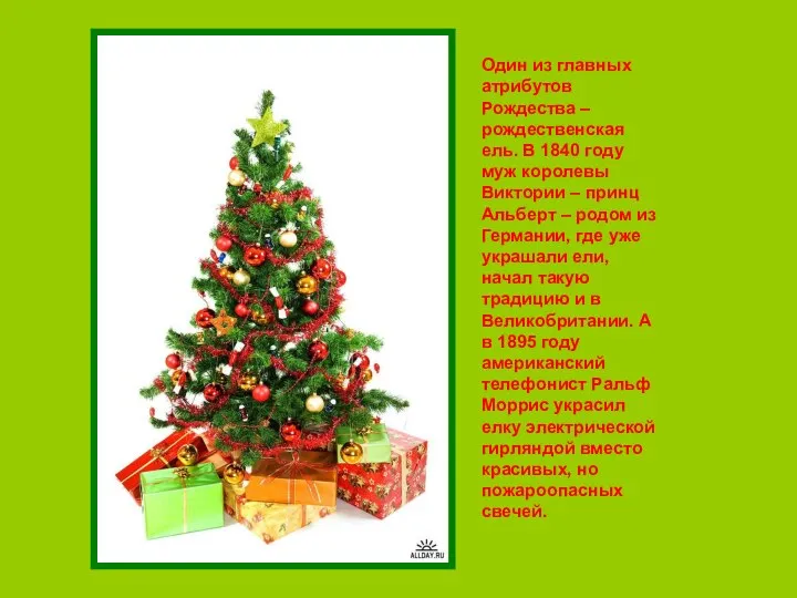 Один из главных атрибутов Рождества – рождественская ель. В 1840 году