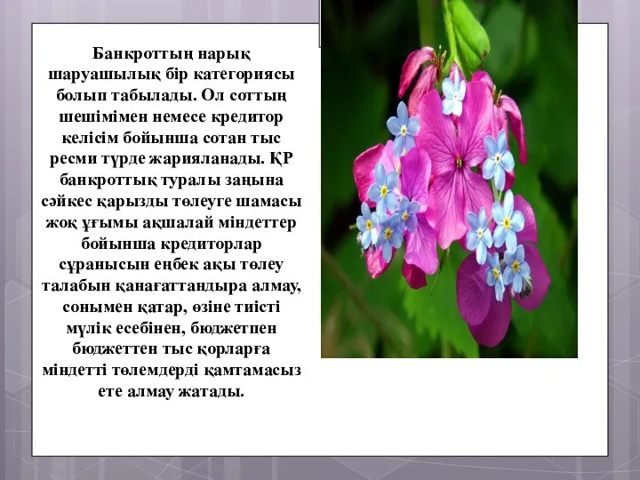 Банкроттың нарық шаруашылық бір категориясы болып табылады. Ол соттың шешімімен немесе