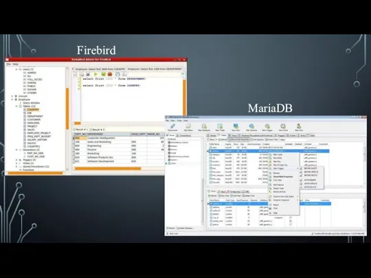 MariaDB Firebird