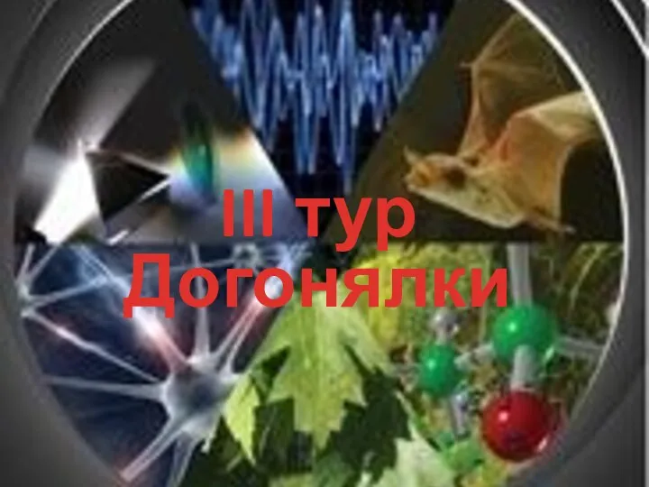 III тур Догонялки