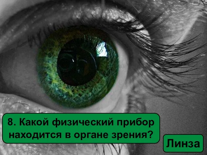 8. Какой физический прибор находится в органе зрения? Линза