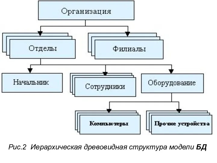 Рис.2 Иерархическая древовидная структура модели БД