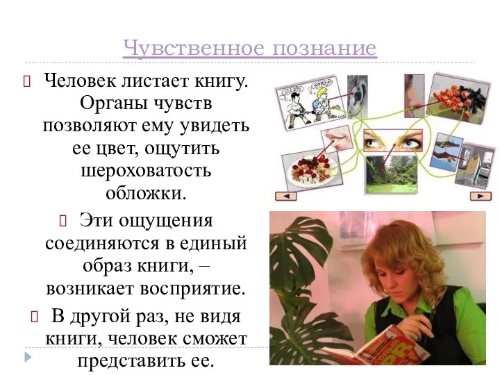 Чувственное познание Человек листает книгу. Органы чувств позволяют ему увидеть ее