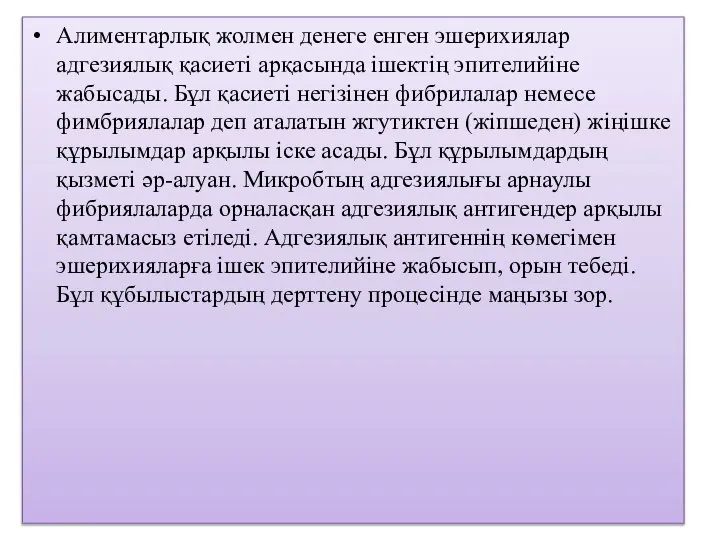 Алиментарлық жолмен денеге енген эшерихиялар адгезиялық қасиеті арқасында ішектің эпителийіне жабысады.