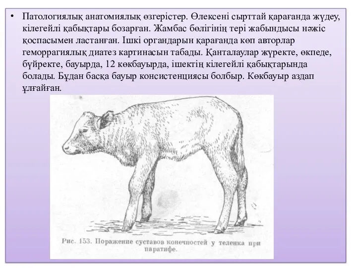 Патологиялық анатомиялық өзгерістер. Өлексені сырттай қарағанда жүдеу, кілегейлі қабықтары бозарған. Жамбас