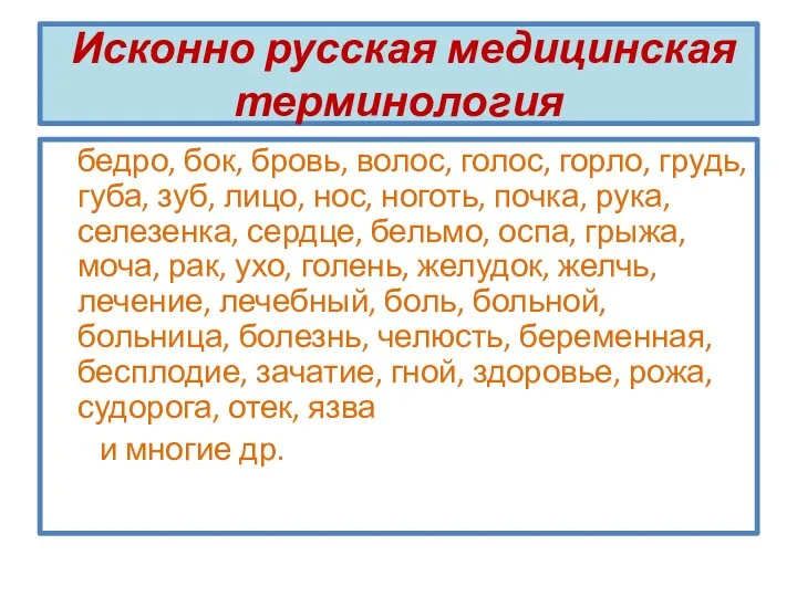 Исконно русская медицинская терминология бедро, бок, бровь, волос, голос, горло, грудь,