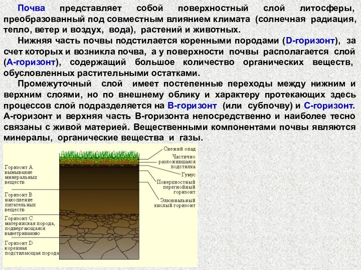 Почва представляет собой поверхностный слой литосферы, преобразованный под совместным влиянием климата