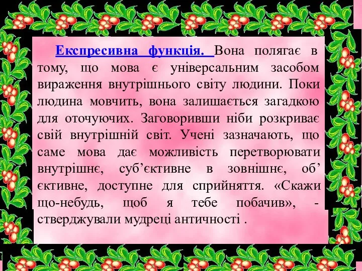 Експресивна функція. Вона полягає в тому, що мова є універсальним засобом