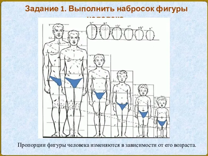 Пропорции фигуры человека изменяются в зависимости от его возраста. Задание 1. Выполнить набросок фигуры человека.