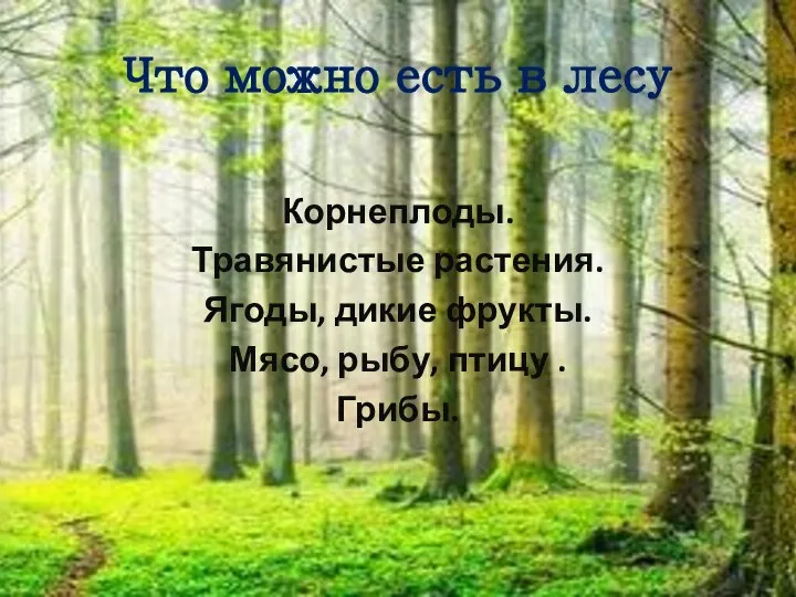 Что можно есть в лесу Корнеплоды. Травянистые растения. Ягоды, дикие фрукты. Мясо, рыбу, птицу . Грибы.