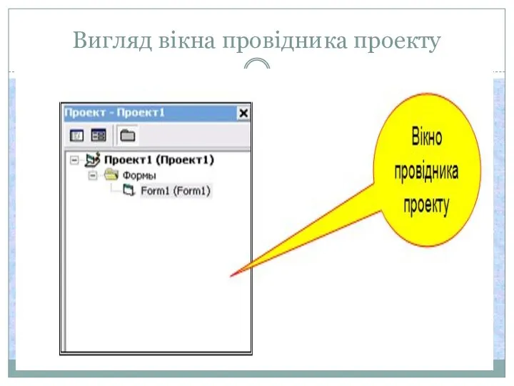 Вигляд вікна провідника проекту