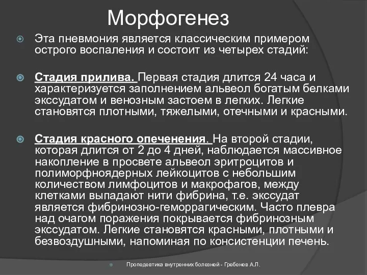 Морфогенез Эта пневмония является классическим примером острого воспаления и состоит из